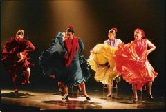 <p style="text-align: right;" dir="rtl">להקת הפלמנקו סילביה דוראן</p>